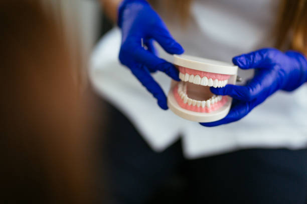 Professional  Holistic Dental Services in Perryman, MD
